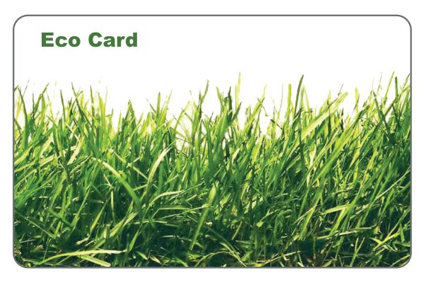 CardImpulz-Eco-Card